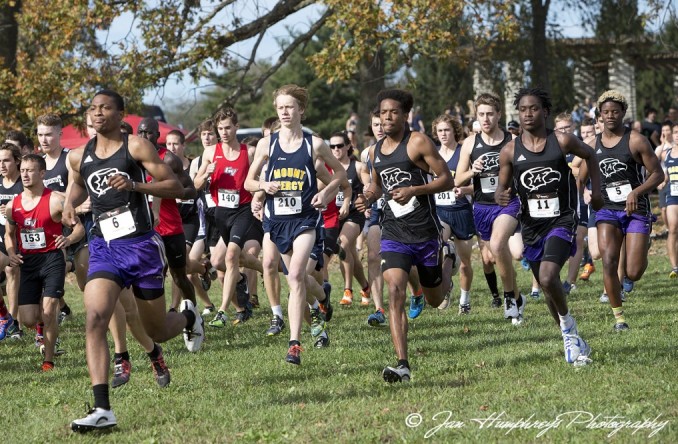 Men's XC: Eagles finish 11th at Heart XC Championships