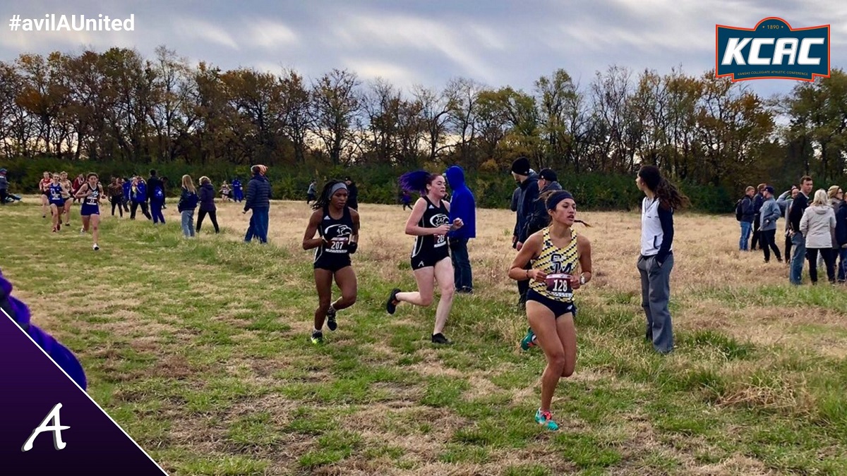 XC: Fenn, Stringer help Eagles to 4th place finish at XC Championships